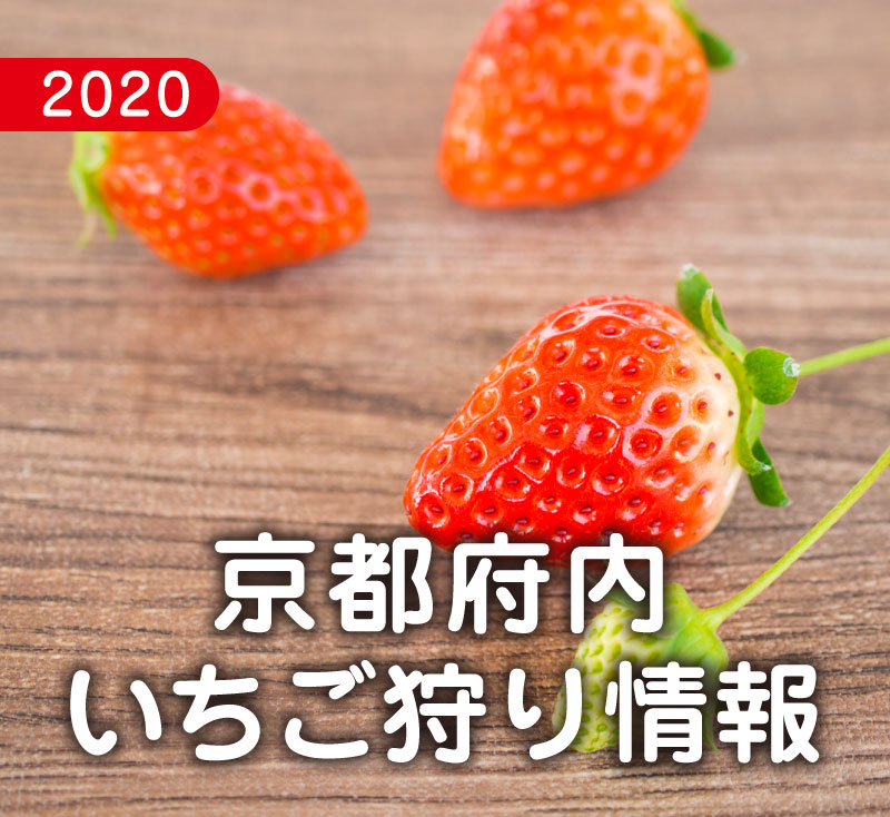 f:id:kyotoside_writer:20200123180115j:plain